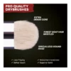 Masterclass Drybrush Set