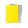 Dragon Shield Yellow & Silver Matte Dual Sleeves