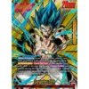 EN_FW_FB09-001_Leader_B_SUPERPARA_dummy FB09 Display - Dual Evolution (ENG)