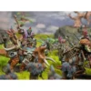 5213017720105-3 Wadrhun First Blood Warband 2026